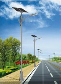 1742827545426759.jpg 若羌太阳能路灯.jpg